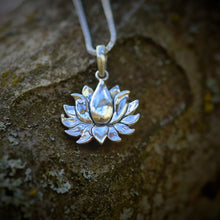  Ett siliverhänge med en vacker lotusblomma. 
