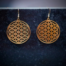  Örhängen Flower of life